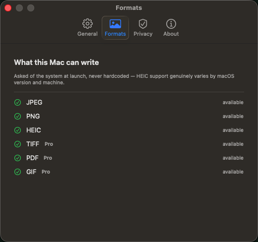 What this Mac can actually write, asked at launch