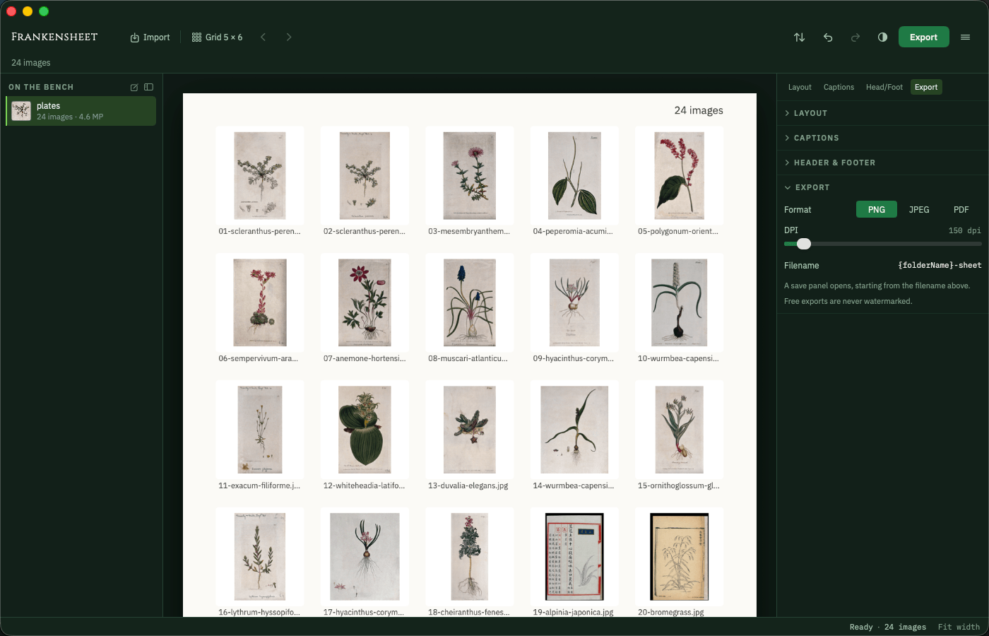 The folder, gathered into one sheet